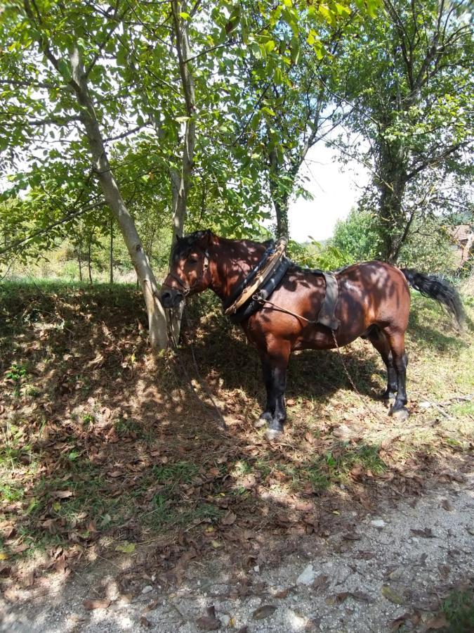 Country House Bihać Dış mekan fotoğraf